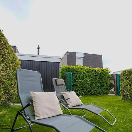 Muschel -