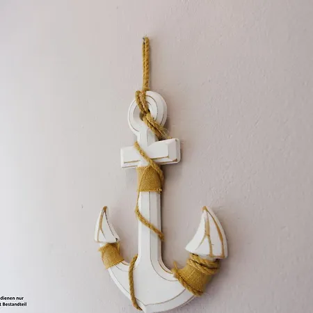 Muschel - * Schillig