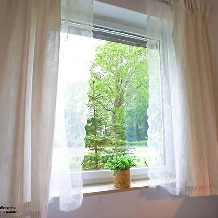 Appartement Muschel - Schillig