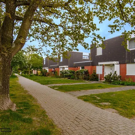 Muschel -
